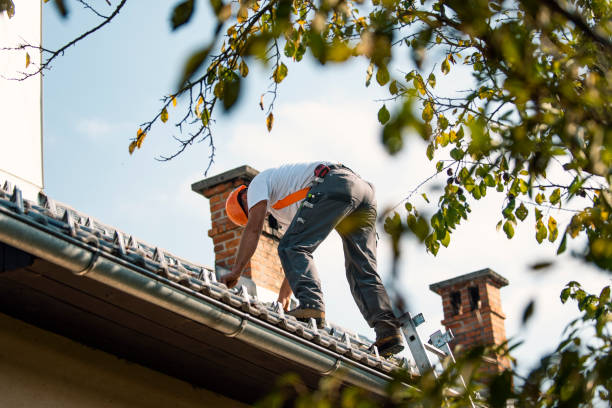 Best Metal Roofing Contractor  in Williamsburg, OH